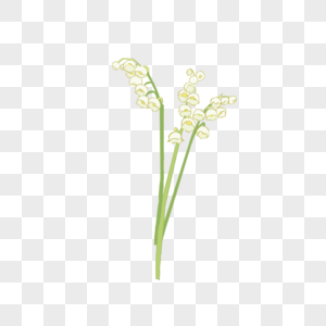 世界环境日卡通花卉植物铃兰花手绘图片