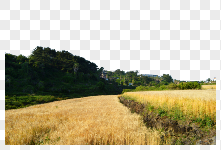 韩国济州岛乡间田野自然风光图片