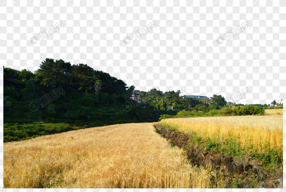 韩国济州岛乡间田野自然风光图片