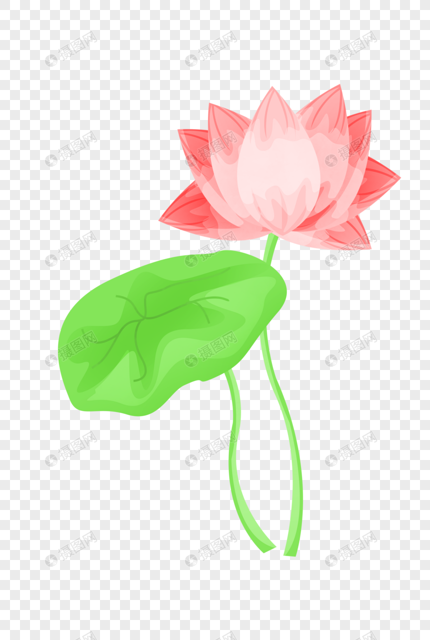 莲花和莲叶元素素材下载 正版素材 摄图网