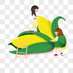 收玉米的女孩图片