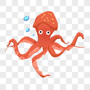 章鱼海洋生物章鱼高清图片