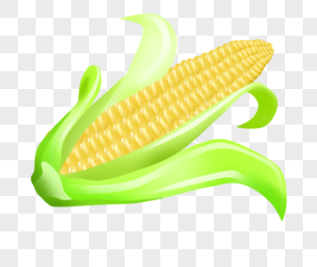 一个绿皮玉米图片