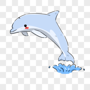 海豚超声波导入高清图片