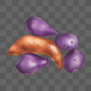 紫薯和红薯图片