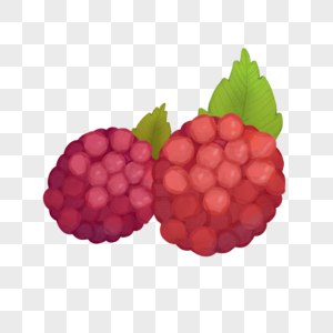 手绘水果树莓高清图片