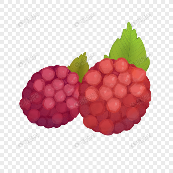 手绘水果树莓图片