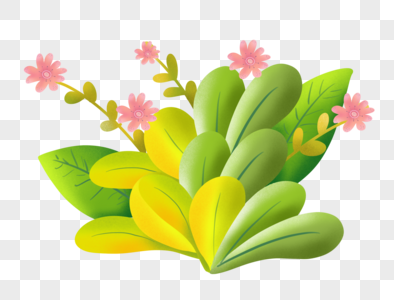 绿植花朵素材图片