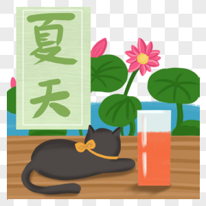 夏季清新荷花猫咪风景图片