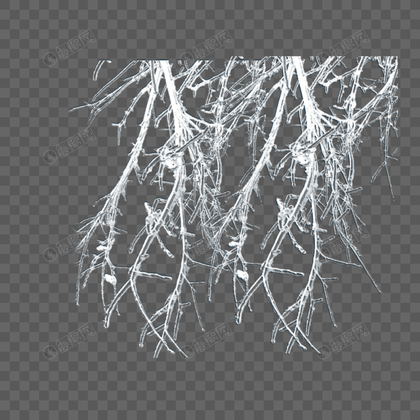 树枝形冰霜图片
