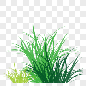 春夏绿草茵茵png免抠元素绿化植物图片