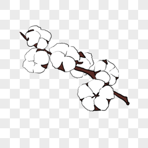 收获卡通一串棉花素材