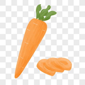 胡萝卜蔬菜食材手绘插画素材图片