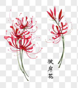 水墨彼岸花元素素材下载 正版素材 摄图网