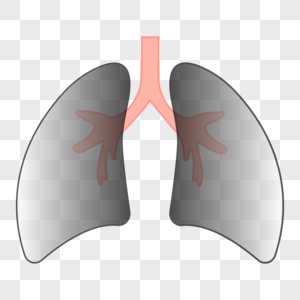 污染的肺部图片