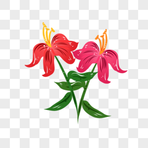 高清图片手绘红色萱草花卉元素高清图片母亲花园里喂婴