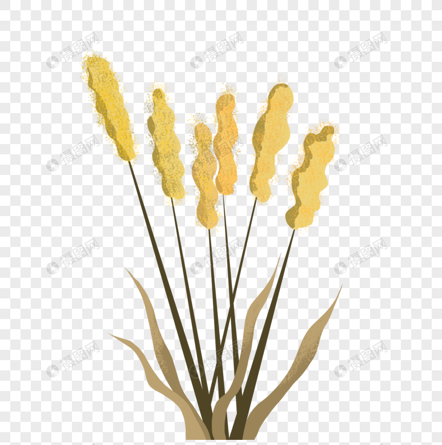 手绘黄色麦子花卉元素图片