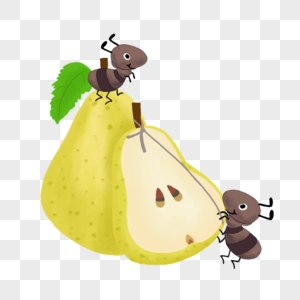 梨子和蚂蚁图片