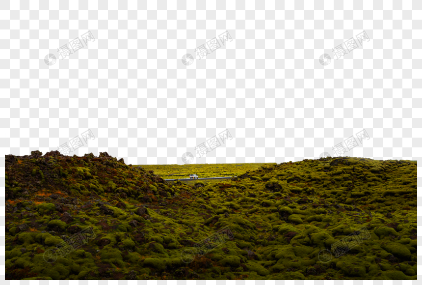 冰岛火山岩地质植被图片