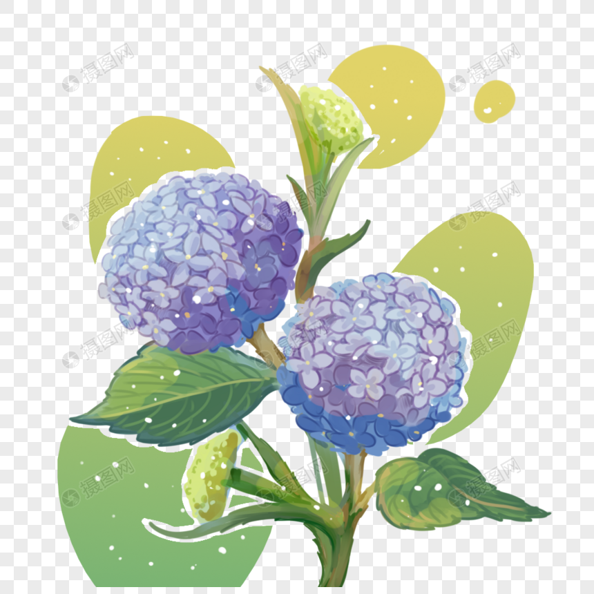 1月1日生日花 绣球花元素素材下载 正版素材 摄图网