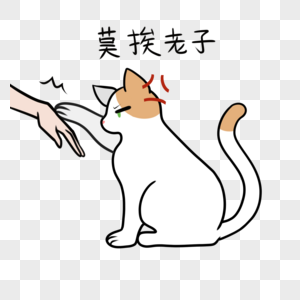 不让摸莫挨老子猫生气不开心图片素材