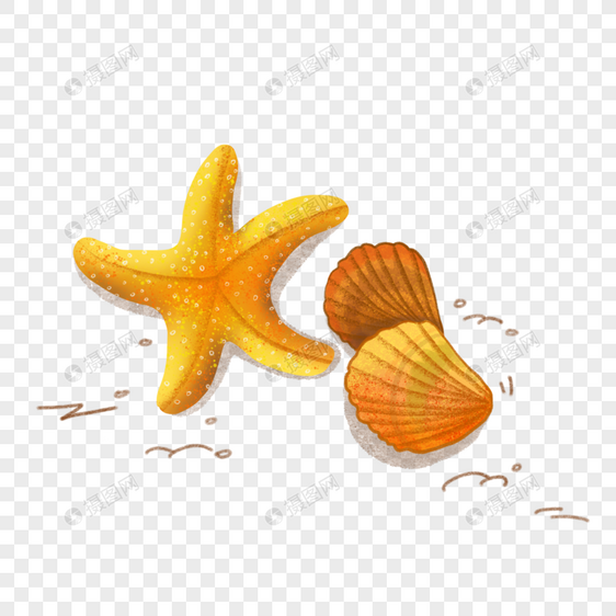 海星贝壳手绘图片