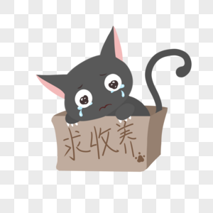 求收养可怜兮兮的流浪黑猫泪眼哭泣流眼泪图片