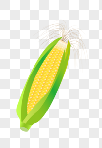 一个玉米棒子图片