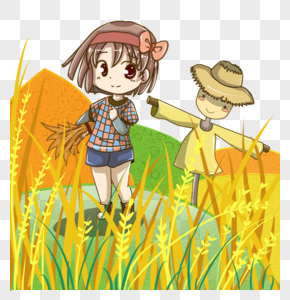 收水稻的女孩图片
