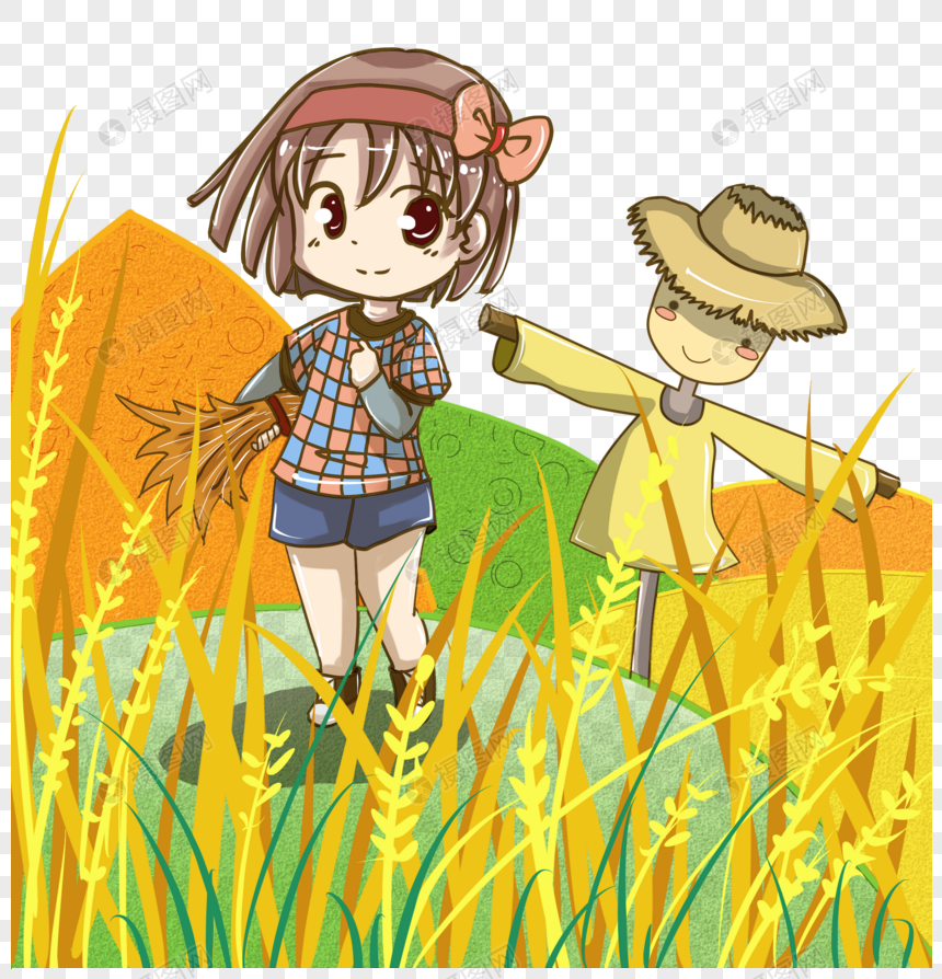 收水稻的女孩图片