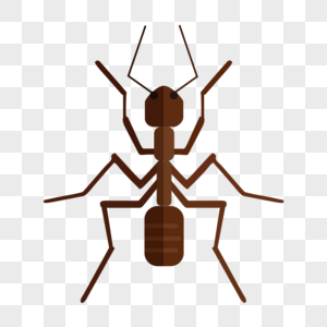 蚂蚁蚁人工兵蚁高清图片