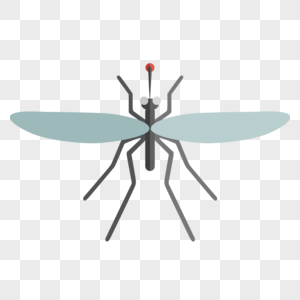 蚊子花斑蚊按蚊科高清图片