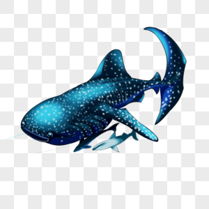 齿鲸海洋鲨鲸高清图片