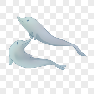 两只海豚图片