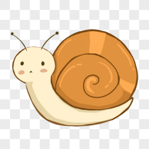 蜗牛葡萄蜗牛高清图片