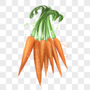 蔬菜一把胡萝卜图片