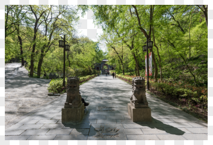 安徽滁州琅琊山甬道图片素材