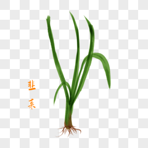 韭菜卡通图图片