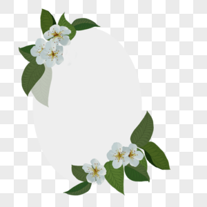 花卉边框白色花边框高清图片