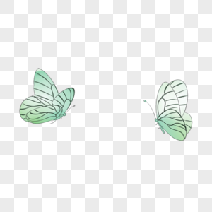飞翔的蝴蝶图片