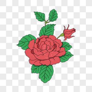 红色牡丹花图片