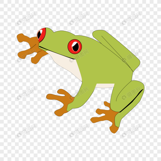 卡通手绘可爱动物绿色青蛙图片