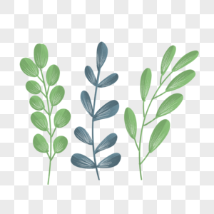 植物清新组合图片