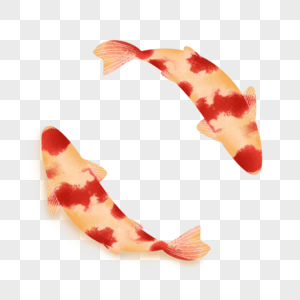 红色金鱼鲤鱼图片