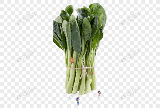 一捆蔬菜图片