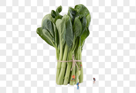 一捆油菜蔬菜图片