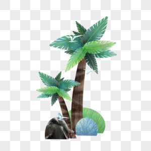 夏天的椰子树图片