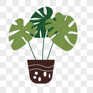 夏季热带植物盆栽绿植图片