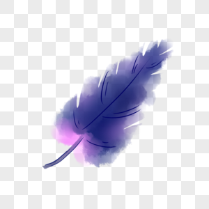 紫色羽毛图片