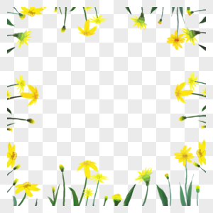 黄色花朵边框插画图片